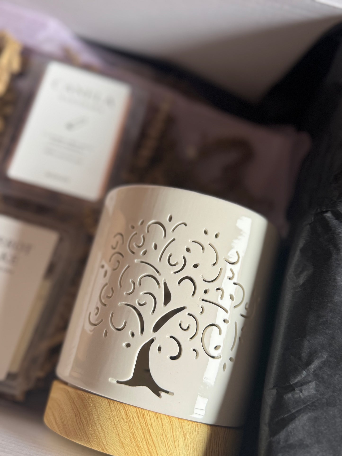 Caja Regalo Wax Melts + Quemador