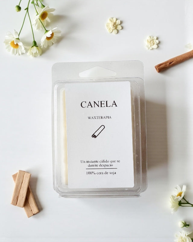 Wax Melt Canela